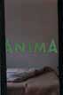 Danilo Sini, Consumer benefit, 1999, installazione a porte socchiuse, vernice fosforescente su muro, letto, scansioni di luce a intervalli di 15”