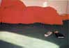 Tadej Pogacar, Project Code-red, 2001, installazione